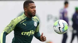 Foto: Cesar Greco/Palmeiras