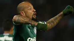 Felipe Melo comemorando gol pelo Palmeiras — (Foto: Cesar Greco/Palmeiras)