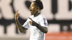 Foto: Ivan Storti/Santos FC