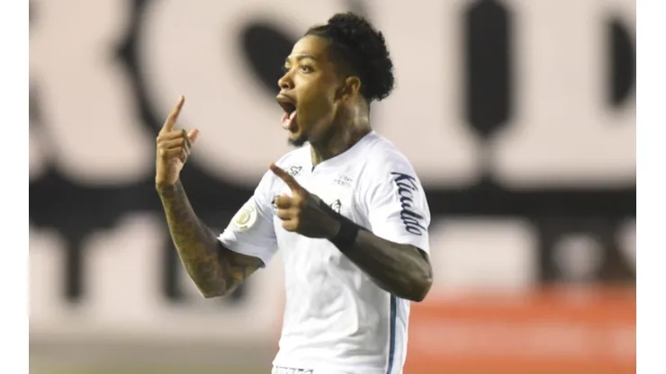 Foto: Ivan Storti/Santos FC