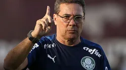 Luxemburgo é uma das opções da diretoria - Foto: Cesar Greco/Palmeiras.
