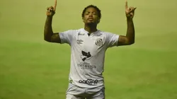 Foto: Ivan Storti/Santos FC