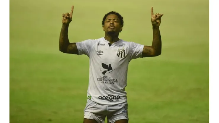 Foto: Ivan Storti/Santos FC