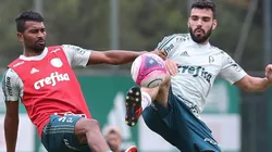 Felipão indica ex-volante do Palmeiras ao Cruzeiro