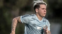 Foto: Ivan Storti/Santos FC