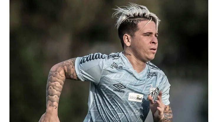 Foto: Ivan Storti/Santos FC