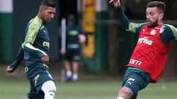 Rony e Lucas Lima disputam lugar no time (Foto: Cesar Greco/Divulgação/Palmeiras)