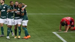 Vitória para acender o brio palmeirense