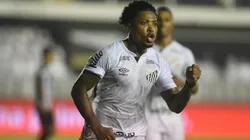 De volta ao time: Marinho pode voltar contra o Flu (Foto: Ivan Storti/Santos FC/Divulgação)