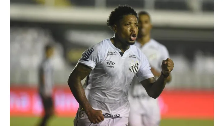 De volta ao time: Marinho pode voltar contra o Flu (Foto: Ivan Storti/Santos FC/Divulgação)