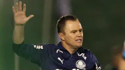 Andrey Lopes comandou a equipe nos 2 últimos jogos - Foto: Cesar Greco/Palmeiras.