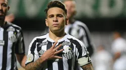 Foto: Ivan Storti/Santos FC