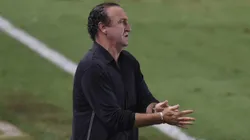 Foto: Ivan Storti/Santos FC