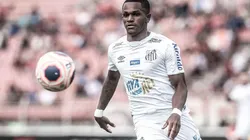 Foto: Ivan storti/Santos FC