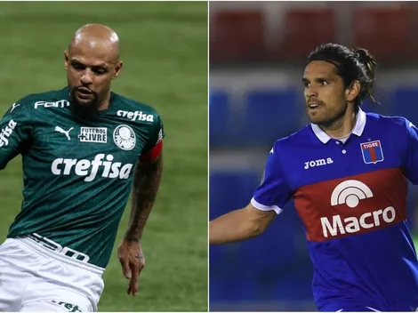 Palmeiras x Tigre: Data, horário e canal para assistir a partida da Libertadores