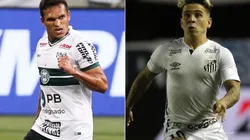 Coritiba x Santos medem forças neste sábado, pelo Brasileirão