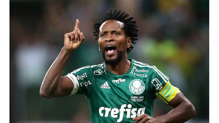 Zé Roberto relembra momento marcante pelo Verdão e afirma que sente falta de defender o clube nos jogos