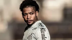 Foto: Ivan Storti/Santos FC/Divulgação