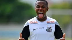 Foto: Ricardo Saibun/Santos FC