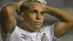 Foto: Ivan Storti/Santos FC.