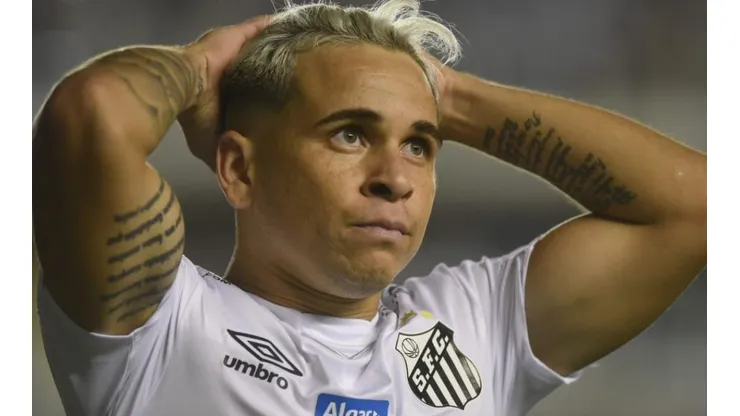Foto: Ivan Storti/Santos FC.