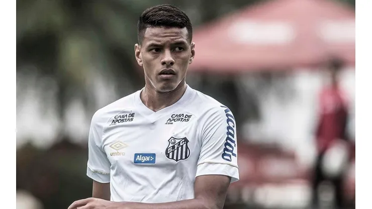 Foto: Ivan Storti/Santos FC