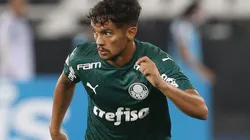 Cesar Greco/Palmeiras