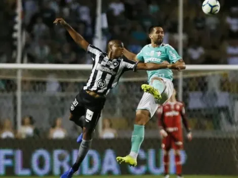 Botafogo x Palmeiras: Como, quando e onde assistir a partida desta quarta