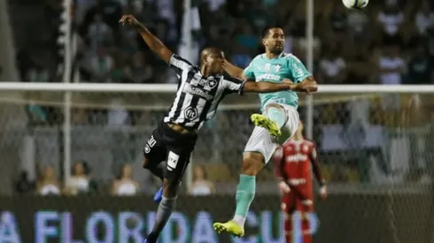 Botafogo x Palmeiras: Como, quando e onde assistir a partida desta quarta