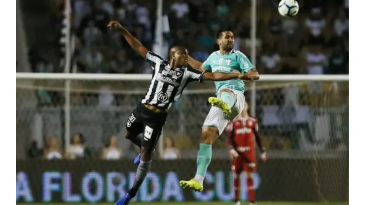 Botafogo x Palmeiras: Como, quando e onde assistir a partida desta quarta