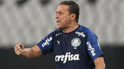 Foto: Cesar Greco/Palmeiras