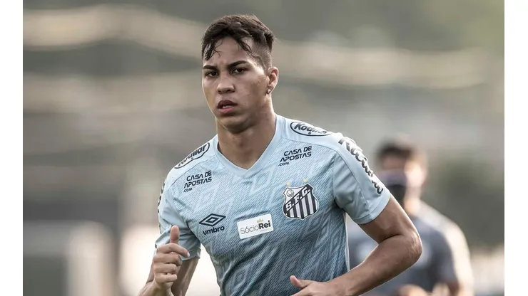 Foto: Ivan Storti/Santos FC