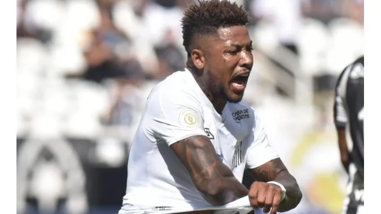 Foto: Ivan Storti/Santos FC.