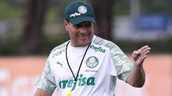 Cesar Greco/Palmeiras