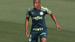 Foto: Cesar Greco/Palmeiras/Divulgação