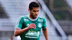 Luxa pede centroavante e volta de Alan Kardec agita palmeirenses na web