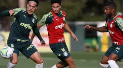 Foto: Cesar Greco/Palmeiras/Divulgação