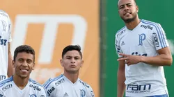 Foto: Palmeiras/Divulgação