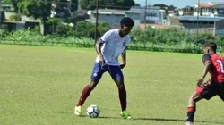 Divulgação