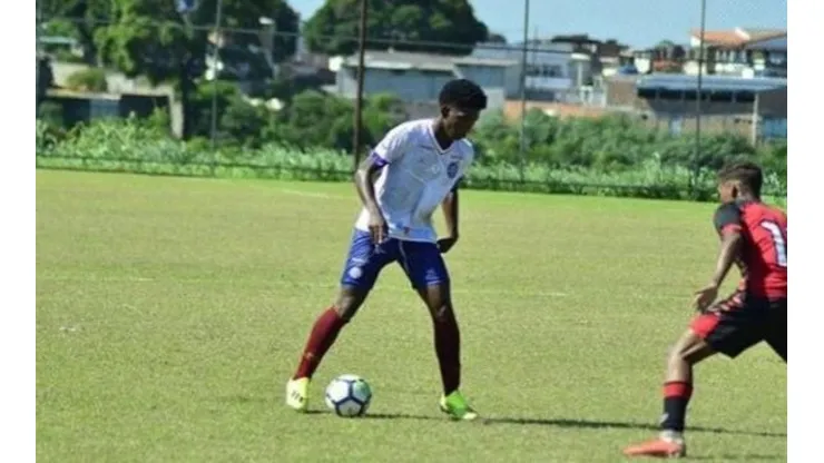 Divulgação
