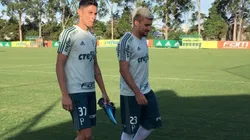 Botafogo pode reforçar lateral esquerda com jogador "escanteado" no Verdão