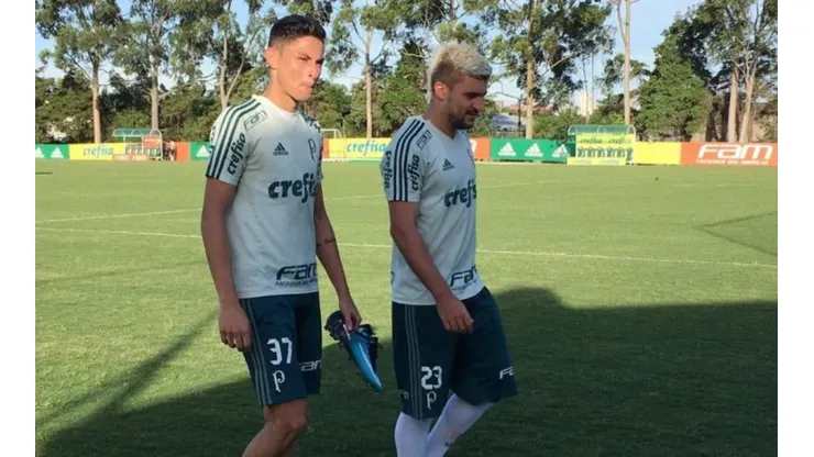 Botafogo pode reforçar lateral esquerda com jogador "escanteado" no Verdão