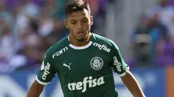 Cesar Greco/Palmeiras