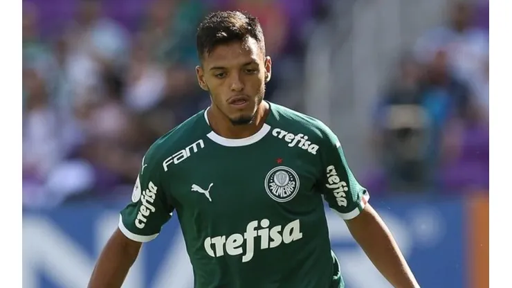 Cesar Greco/Palmeiras