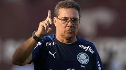 Foto: Cesar Greco/Palmeiras.