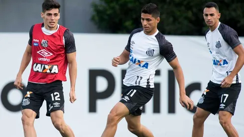 Divulgação/Santos