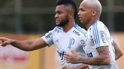 Divulgação/Palmeiras