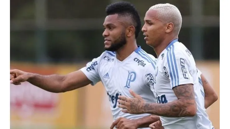 Divulgação/Palmeiras