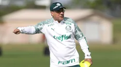 (Crédito da foto: Cesar Greco/Palmeiras)