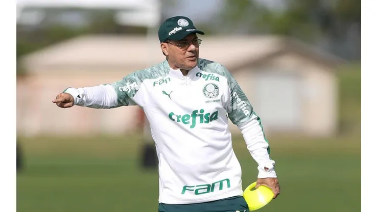 (Crédito da foto: Cesar Greco/Palmeiras)